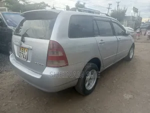 Toyota Corolla Fielder 2006 Silver