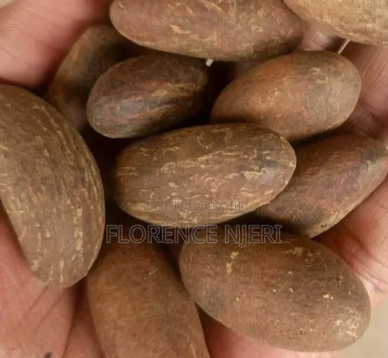 Bitter Kola 60g