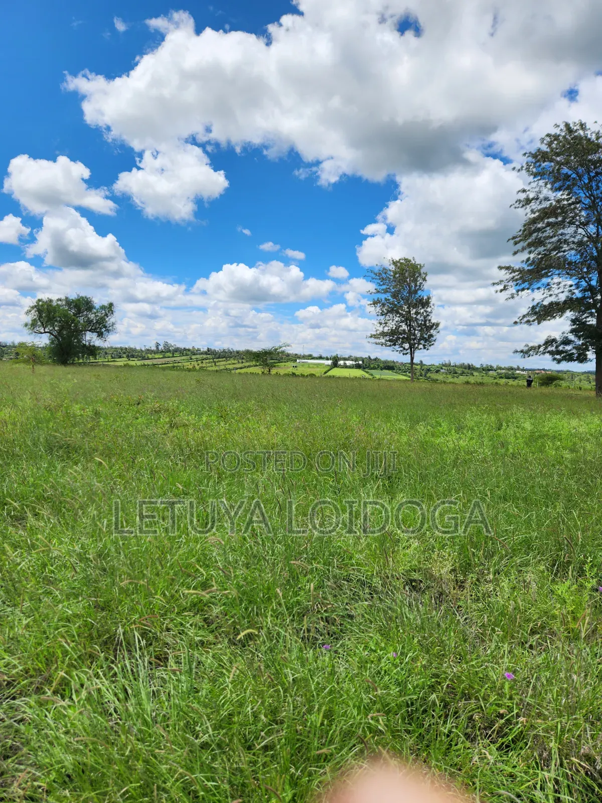 15 Acres Oloirien (Kiserian-Isinya Road)
