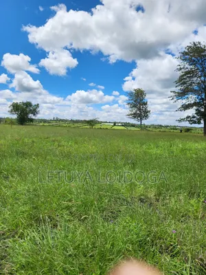 15 Acres Oloirien (Kiserian-Isinya Road)