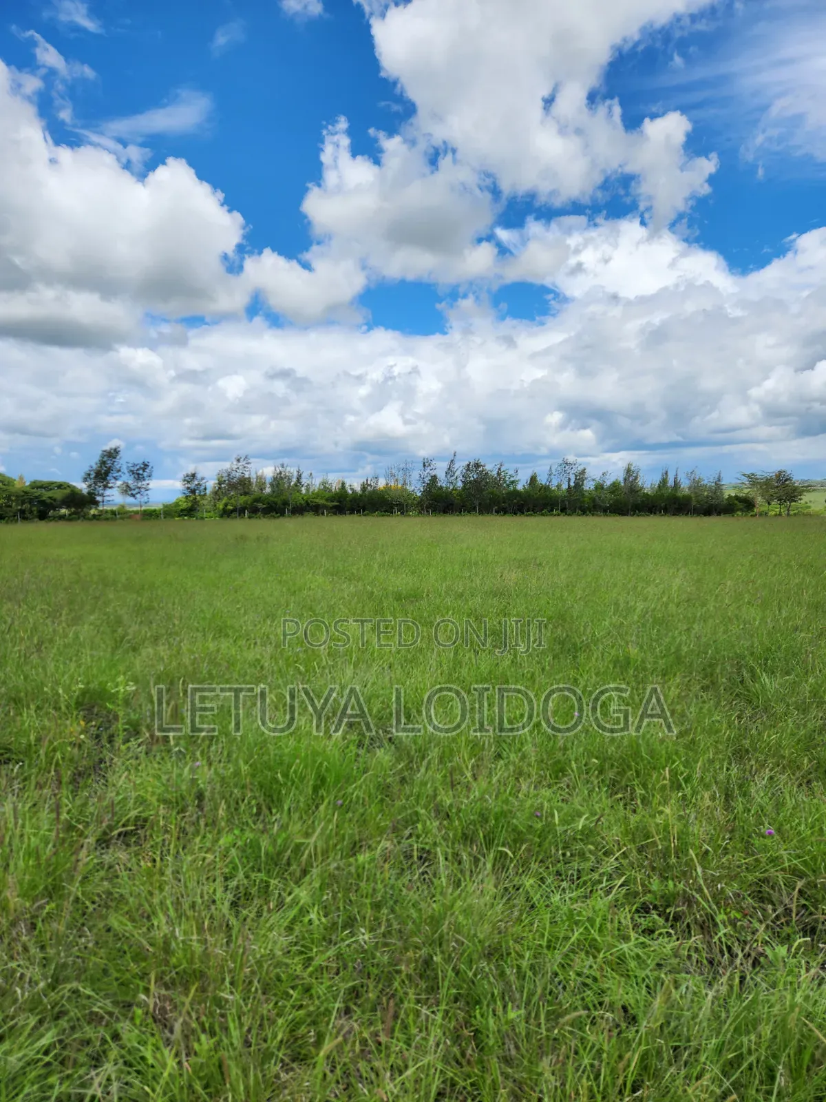 15 Acres Oloirien (Kiserian-Isinya Road)