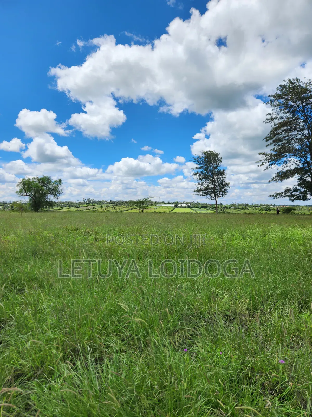 15 Acres Oloirien (Kiserian-Isinya Road)