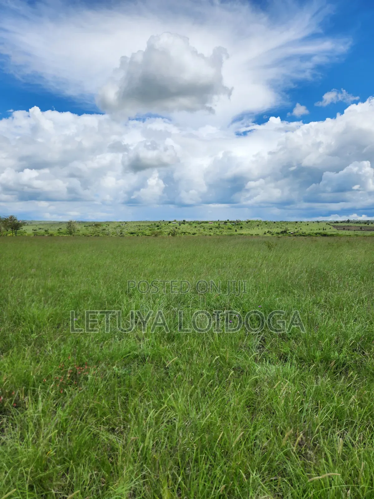 15 Acres Oloirien (Kiserian-Isinya Road)