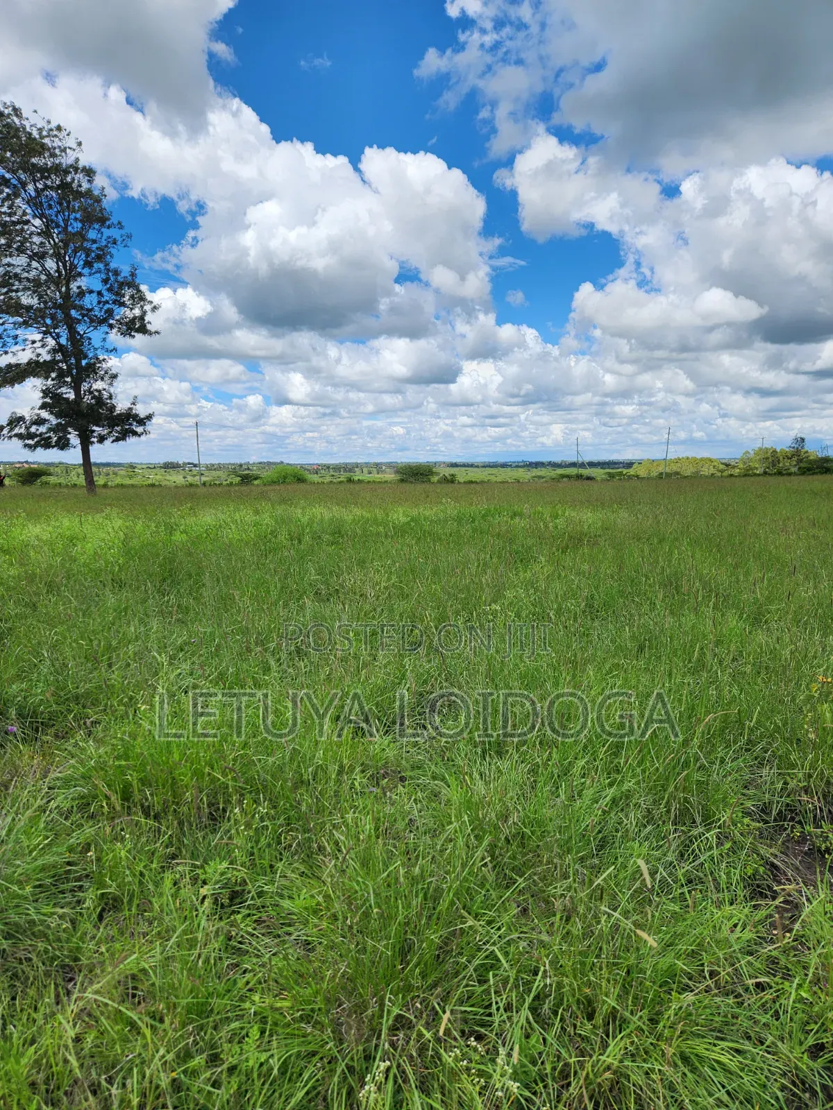15 Acres Oloirien (Kiserian-Isinya Road)