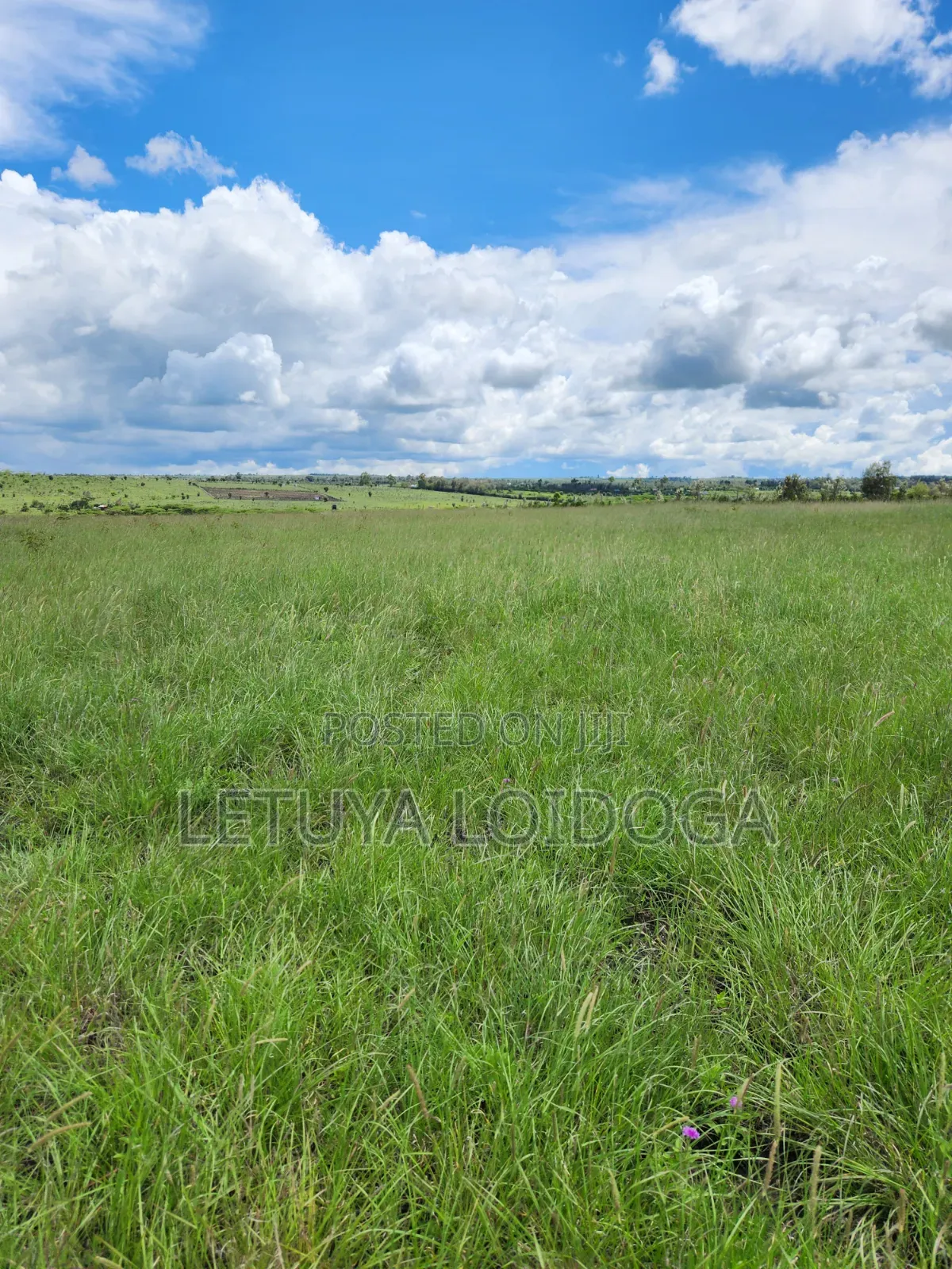15 Acres Oloirien (Kiserian-Isinya Road)