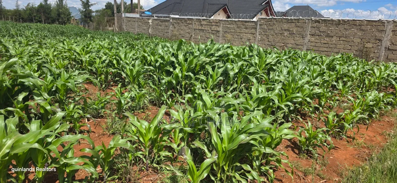 1⁄4 Plot for Sale in Chepkanga Eldoret Mutei Drive