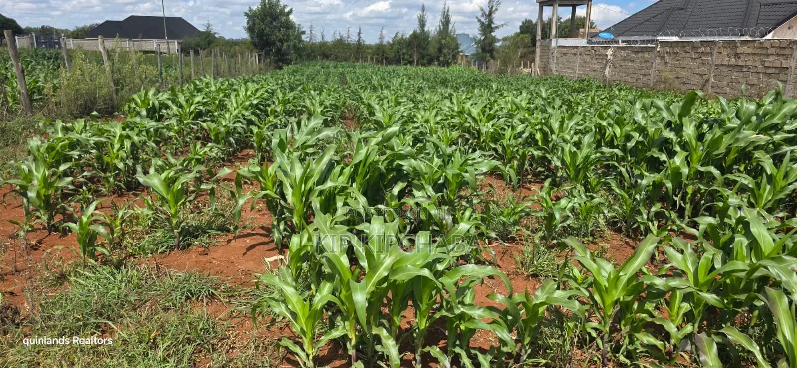 1⁄4 Plot for Sale in Chepkanga Eldoret Mutei Drive