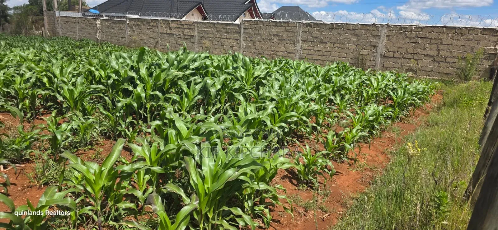 1⁄4 Plot for Sale in Chepkanga Eldoret Mutei Drive