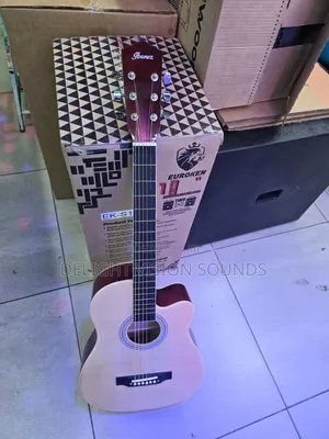 Ibanez 40-Inch Semi-Acoustic Guitar