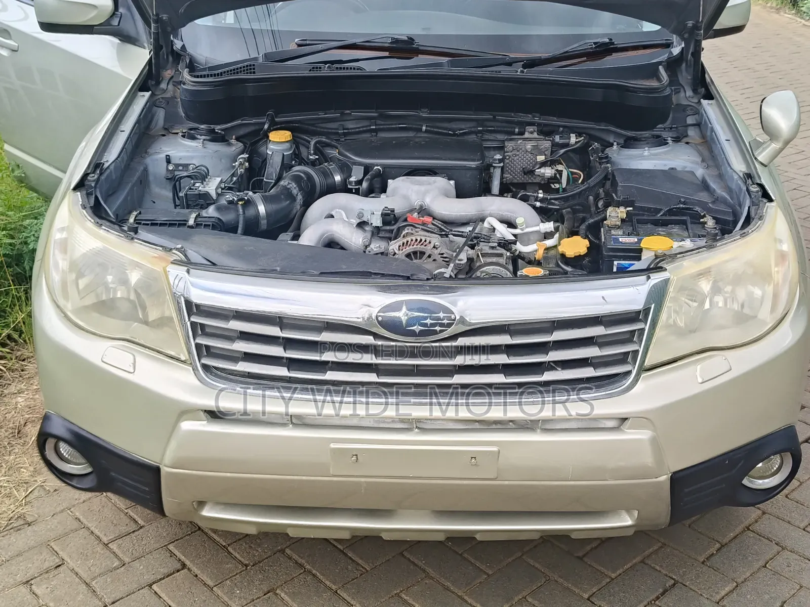 Subaru Forester 2010 Gold