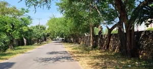"Prime Beachfront Land: Exclusive Oceanfront Plot With Beach Access"