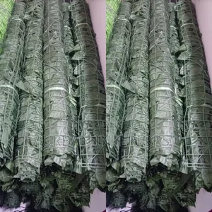 Dark Green Privacy Fences Dark Green Privacy Fence 3 Meters by 1 Meter
