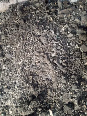 Well Composted Goat and Plant Manure for Kitchen Garden and Pot Plants