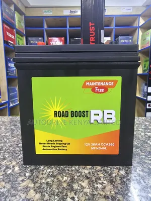 Ns40 Roadboost Japanese Technology Car Battery