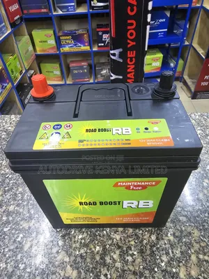 Ns40 Roadboost Japanese Technology Car Battery