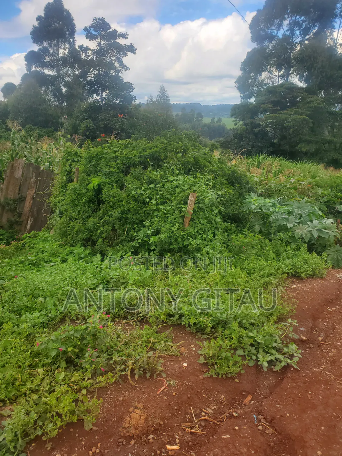 A Long Thogoto Mutarakwa Road