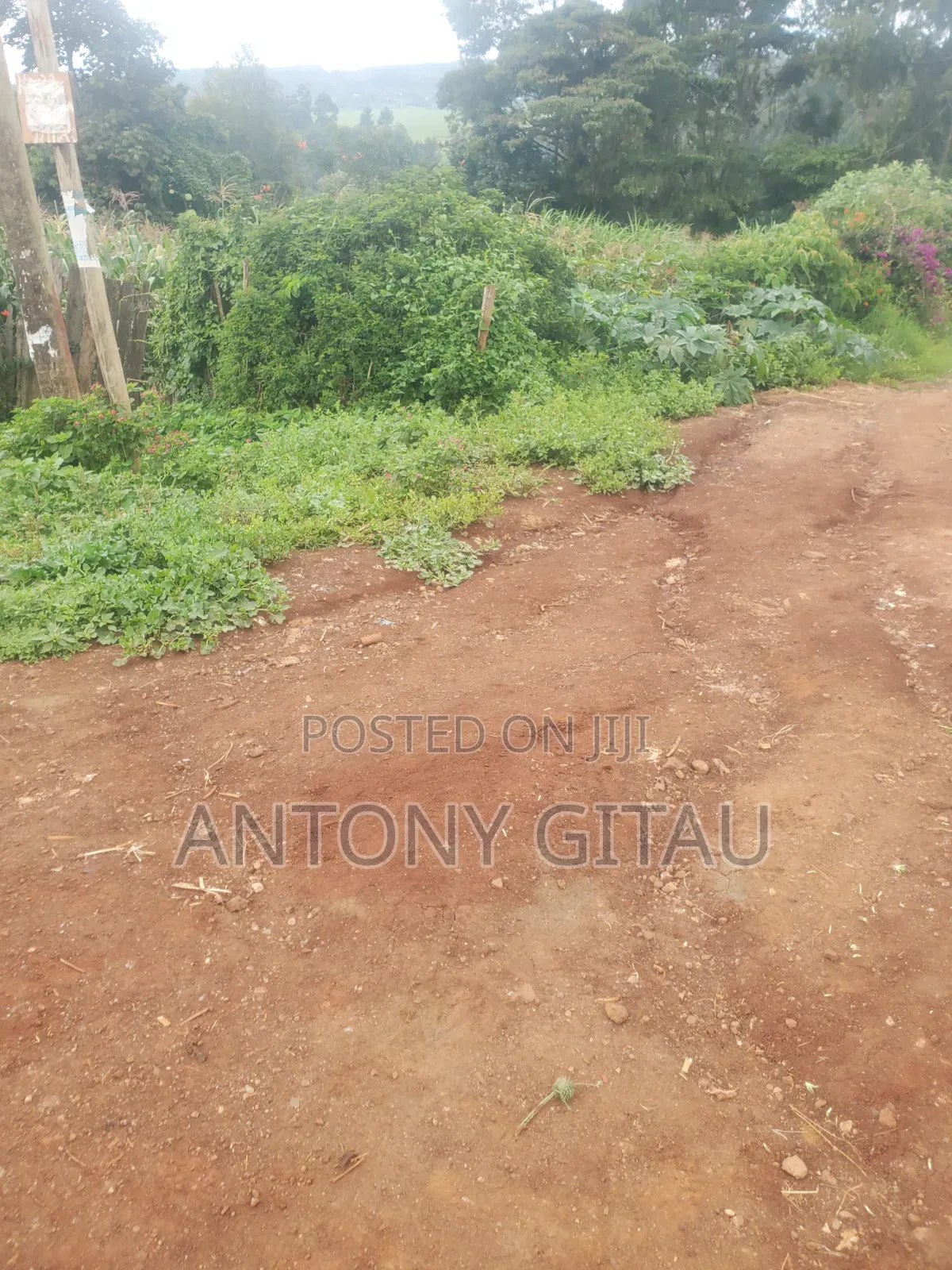 A Long Thogoto Mutarakwa Road