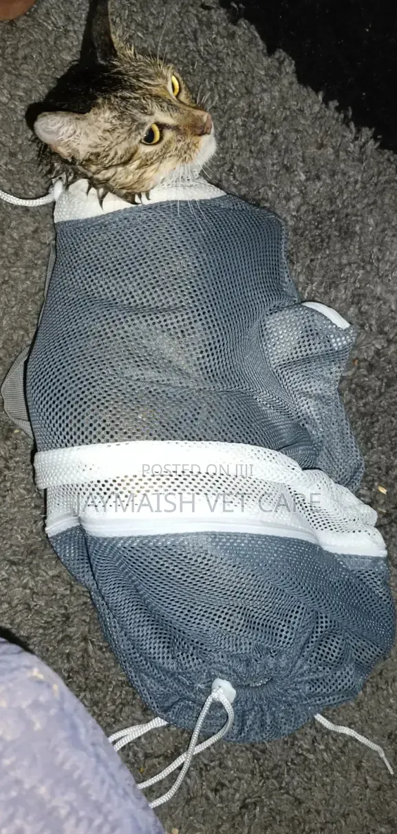Cat Grooming Bag/ Restraining Bag