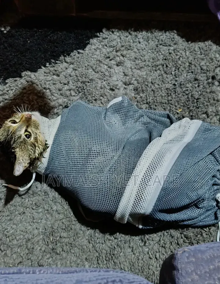 Cat Grooming Bag/ Restraining Bag