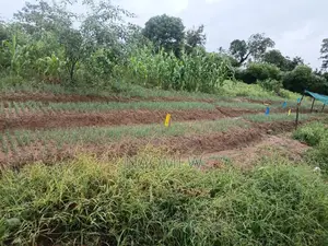 Full-Time Farm Employee With Diploma in Agriculture