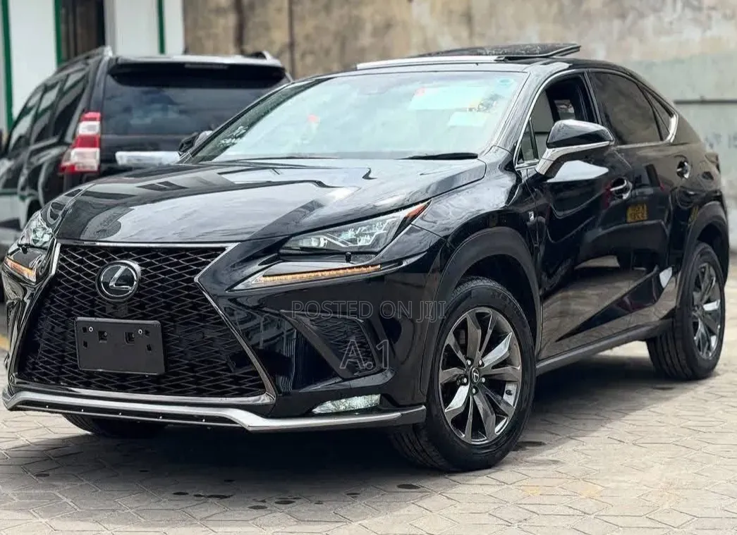 Lexus NX 300 FWD 2019 Matt Black