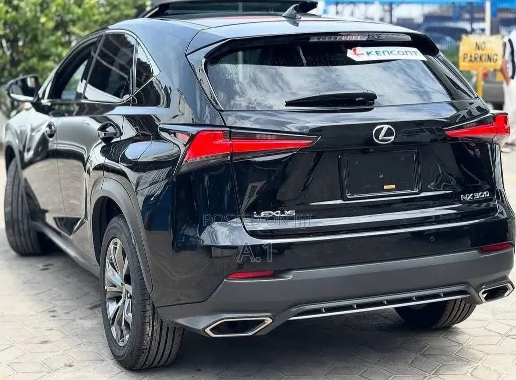 Lexus NX 300 FWD 2019 Matt Black