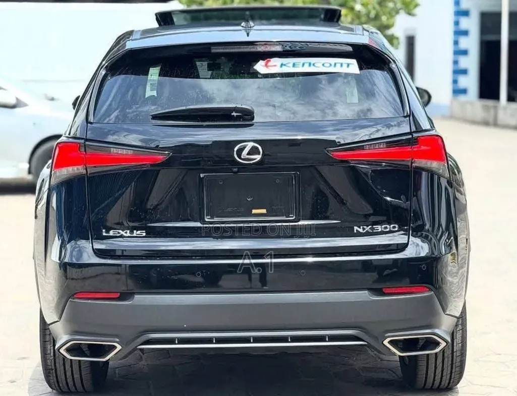 Lexus NX 300 FWD 2019 Matt Black
