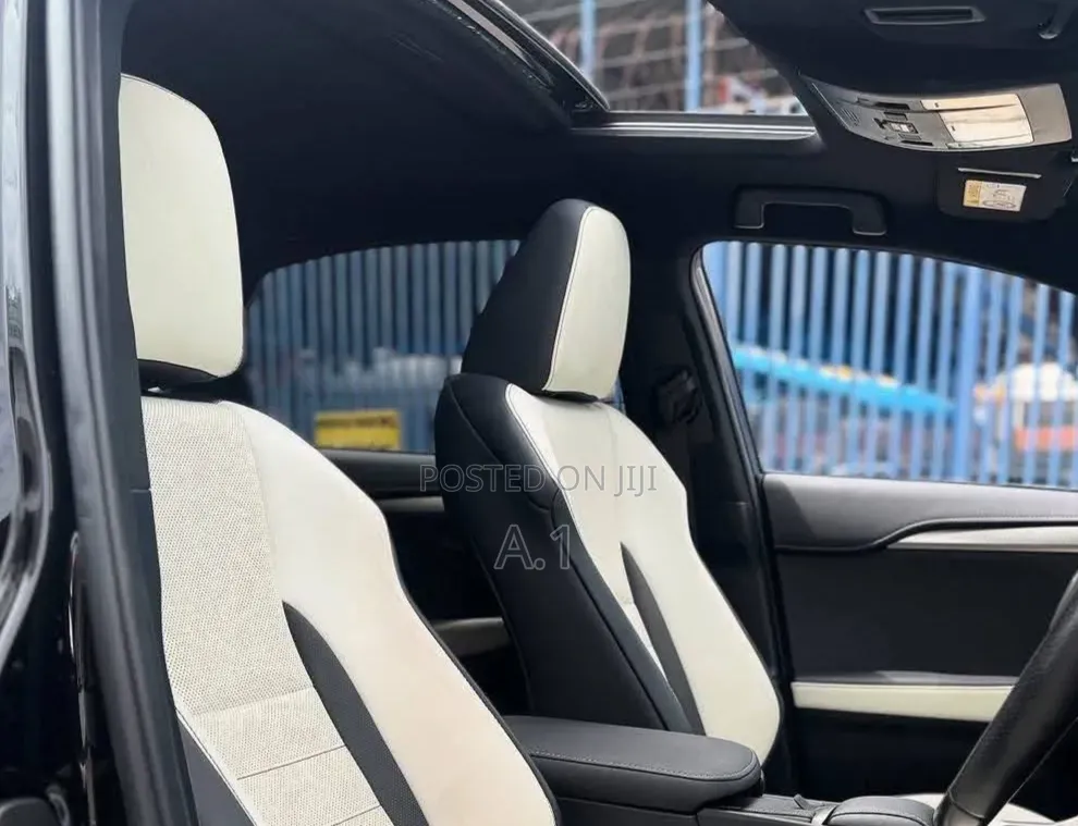 Lexus NX 300 FWD 2019 Matt Black