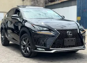 Lexus NX 300 FWD 2019 Matt Black