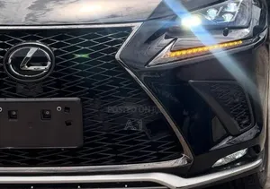 Lexus NX 300 FWD 2019 Matt Black