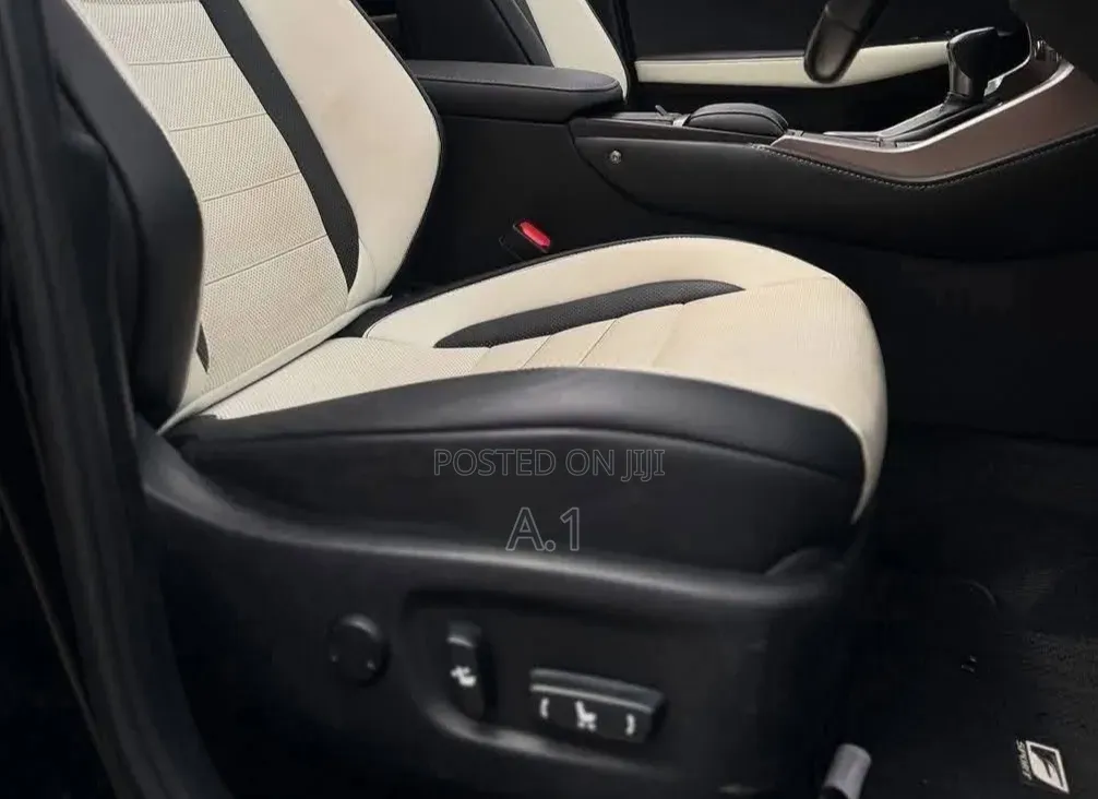 Lexus NX 300 FWD 2019 Matt Black