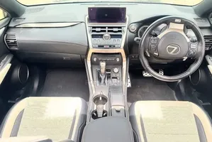 Lexus NX 300 FWD 2019 Matt Black