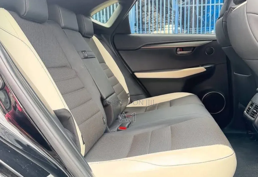 Lexus NX 300 FWD 2019 Matt Black