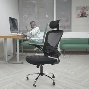 Executive Ergonomic Office Chair.