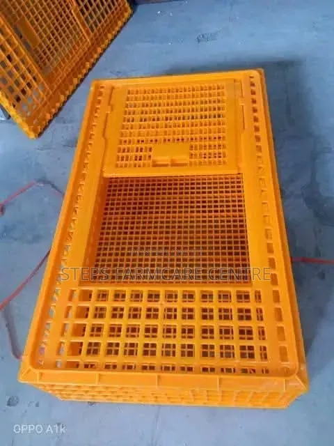Plastic Chicken Transportation Crates