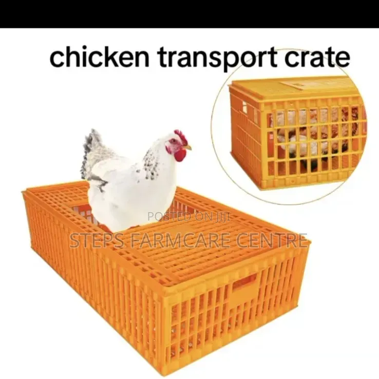 Plastic Chicken Transportation Crates