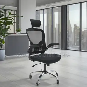 Executive Ergonomic Office Chair.