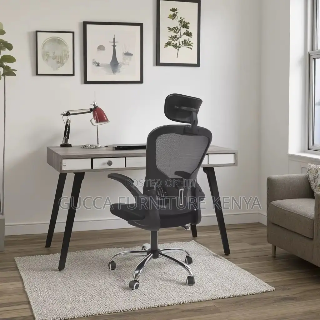 Executive Ergonomic Office Chair.