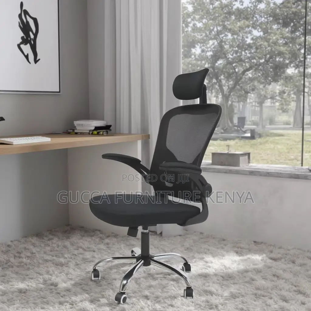Executive Ergonomic Office Chair.