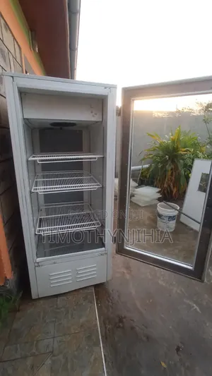 Store Display Fridge