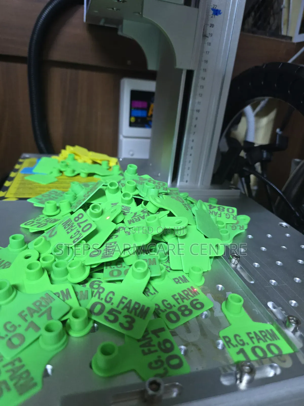 Goats Branded Ear Tags