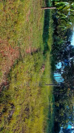 Land for Sale in Busia Near Lake Victoria