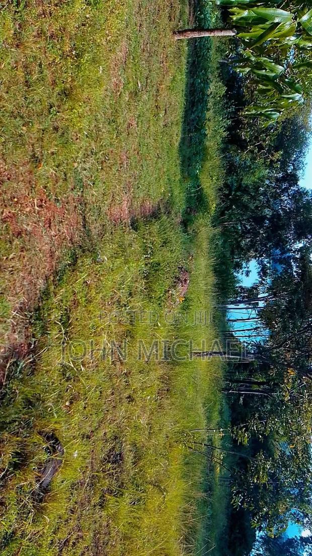 Land for Sale in Busia Near Lake Victoria