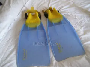 Scuba Diving Items