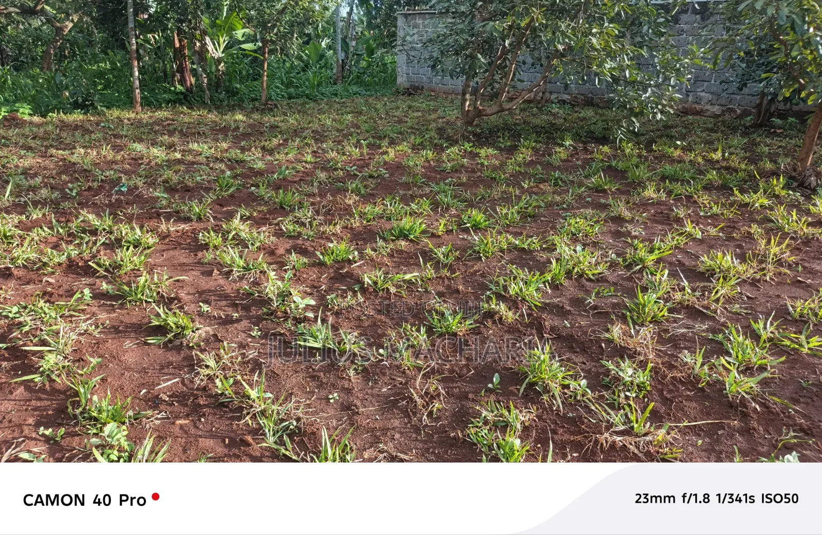 Half Acre Land For Sale At Kenol