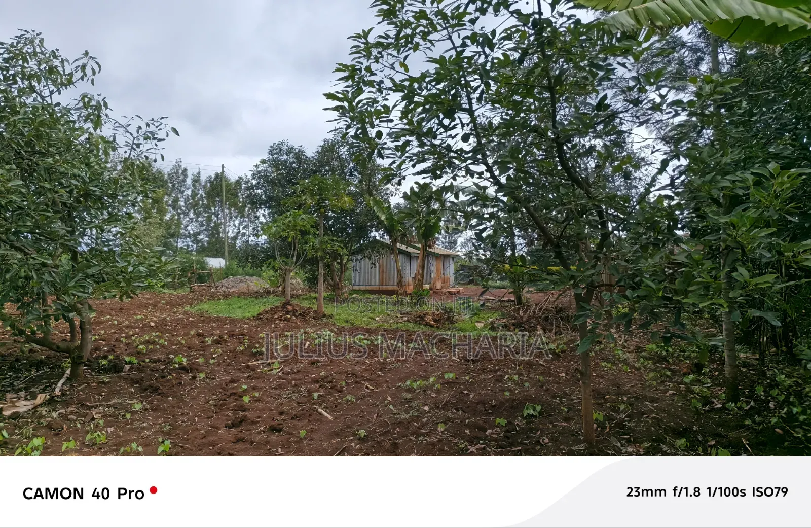Half Acre Land For Sale At Kenol