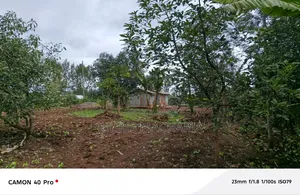 Half Acre Land For Sale At Kenol