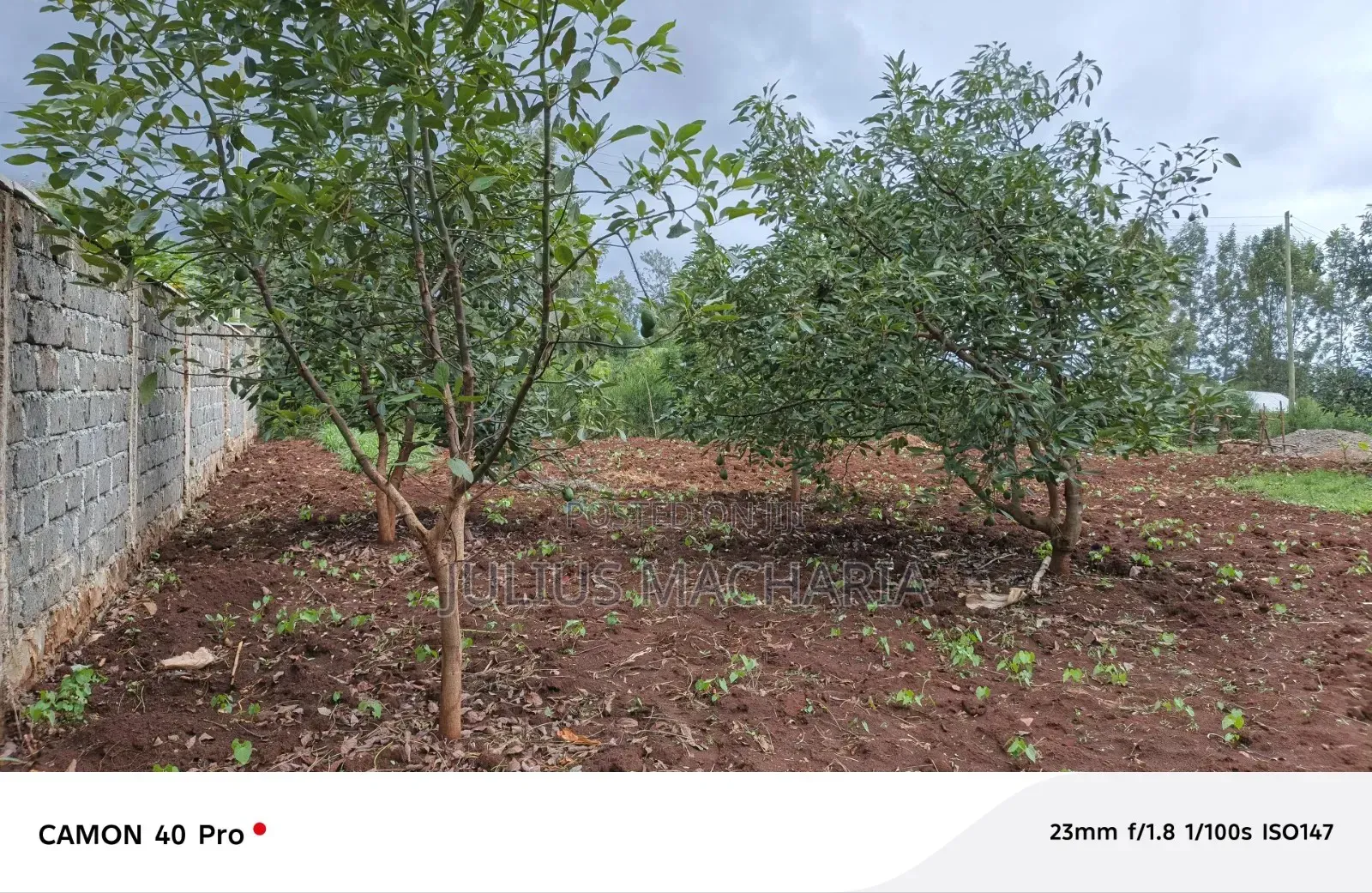 Half Acre Land For Sale At Kenol