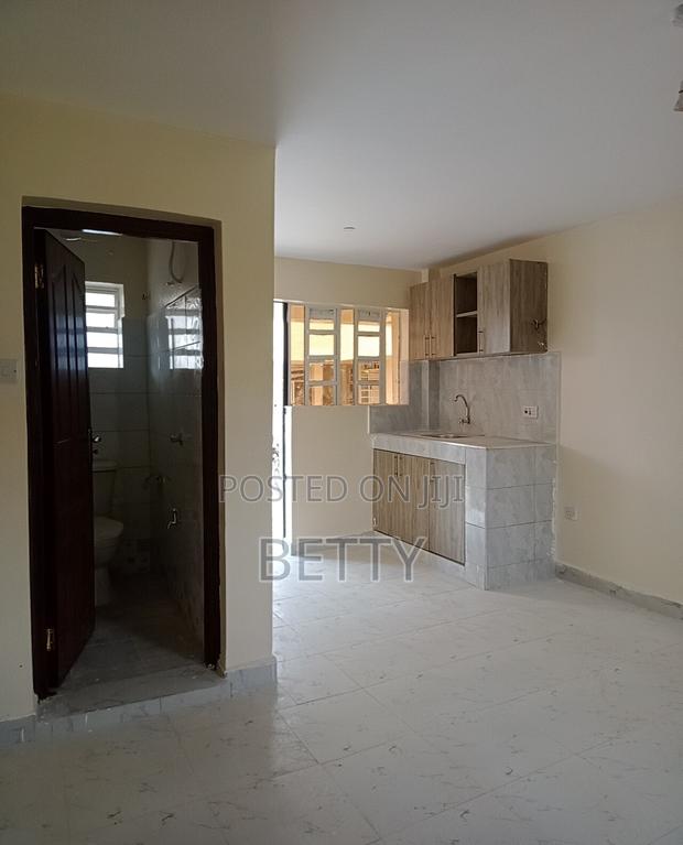 1bdrm Bedsitter in Ruaka for rent - thumbnail 2
