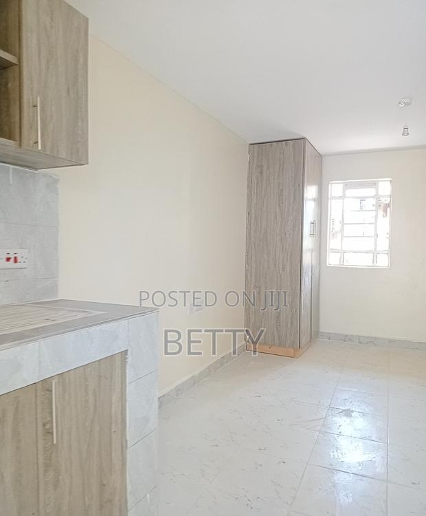 1bdrm Bedsitter in Ruaka for rent - thumbnail 3